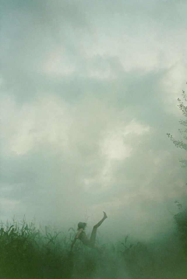Падение (Кукурузное поле), 2007 год. Фотограф Райан МакГинли