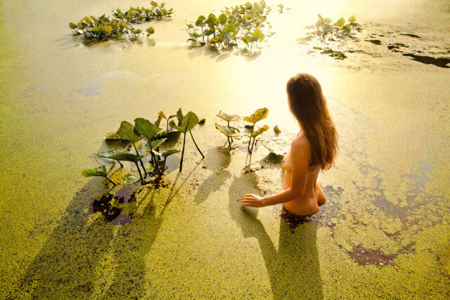 Светящийся пруд (Зеленый), 2013 год. Фотограф Райан МакГинли