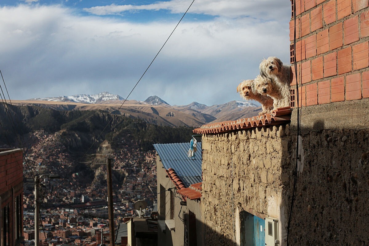 Ла-Пас, Боливия, 2016. Фотограф Мария Плотникова