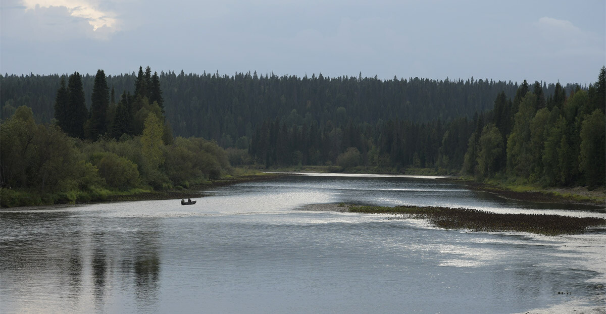 Панорама Печоро-Илычского заповедника. Фотограф Игорь Шпиленок