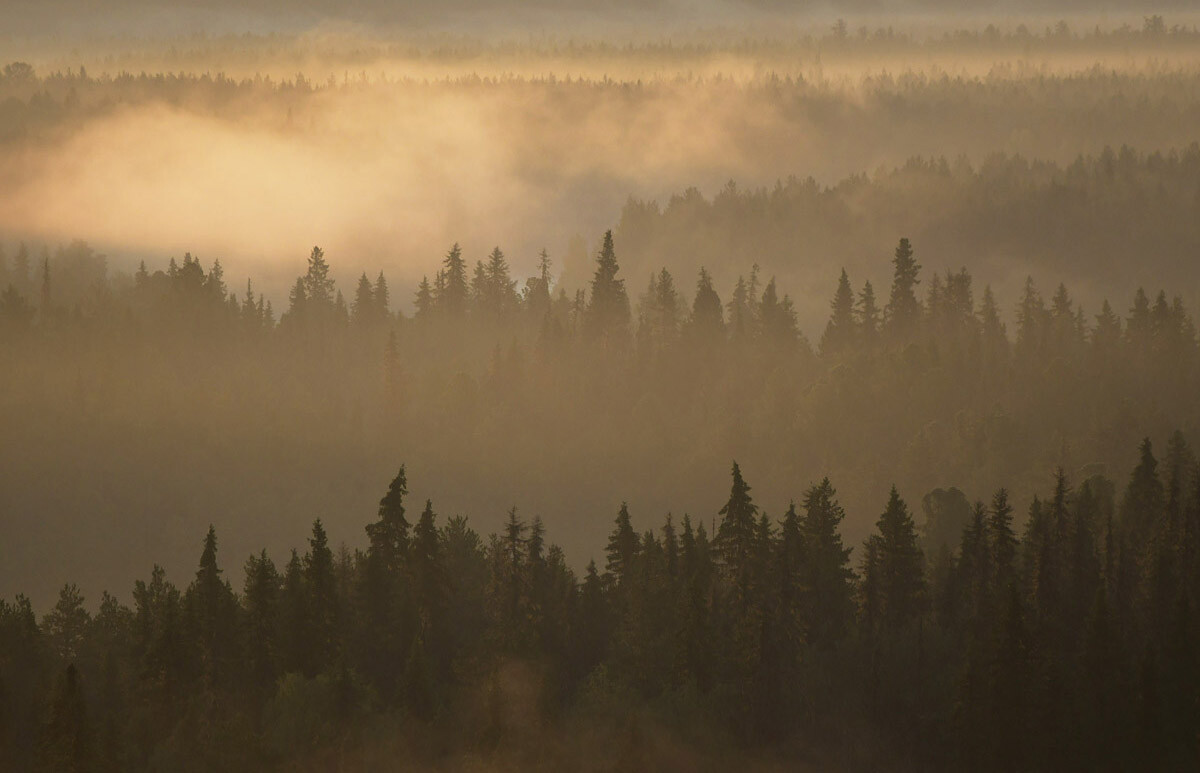Рассвет в Печоро-Илычском заповеднике. Фотограф Игорь Шпиленок