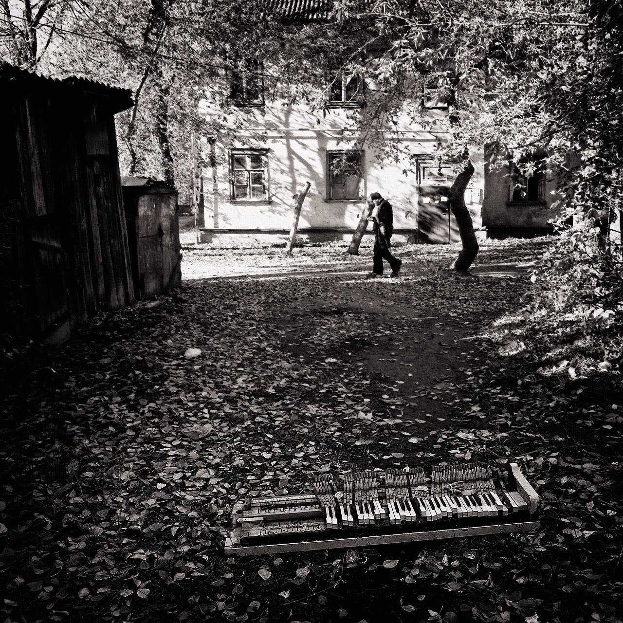 Городок Нефтяников, Омск, октябрь 2017 года. Фотограф Борис Назаренко