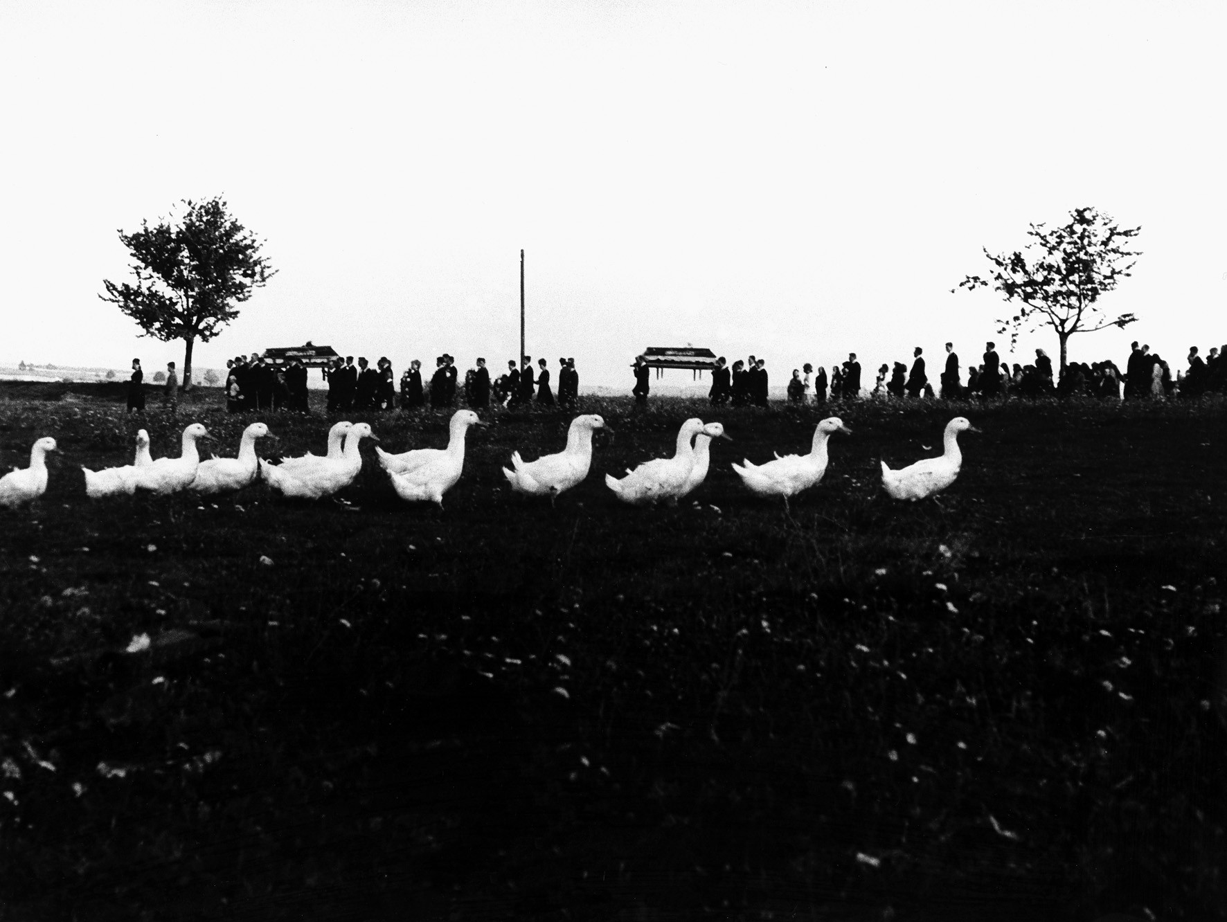 Похороны и утки, Течанов, Чехия, 1965. Йиндржих Штрейт