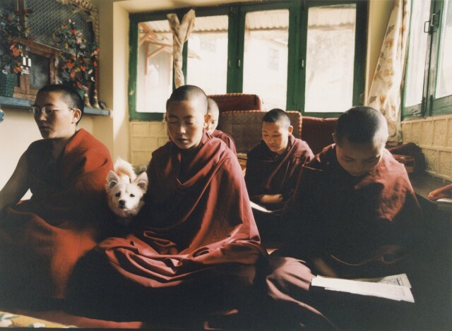 Институт буддийской диалектики, ежедневные беседы для обострения ума, Индия, февраль 2002 года. Фотограф Сибилла Бергеман