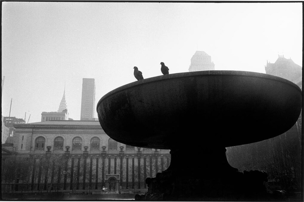Брайант-парк за нью-Йоркской публичной библиотекой, США, Нью-Йорк, 1962 год. Фотограф Инге Морат