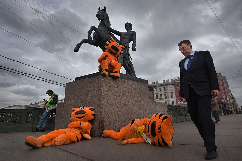 Будни Невского проспекта. Фотограф Александр Петросян