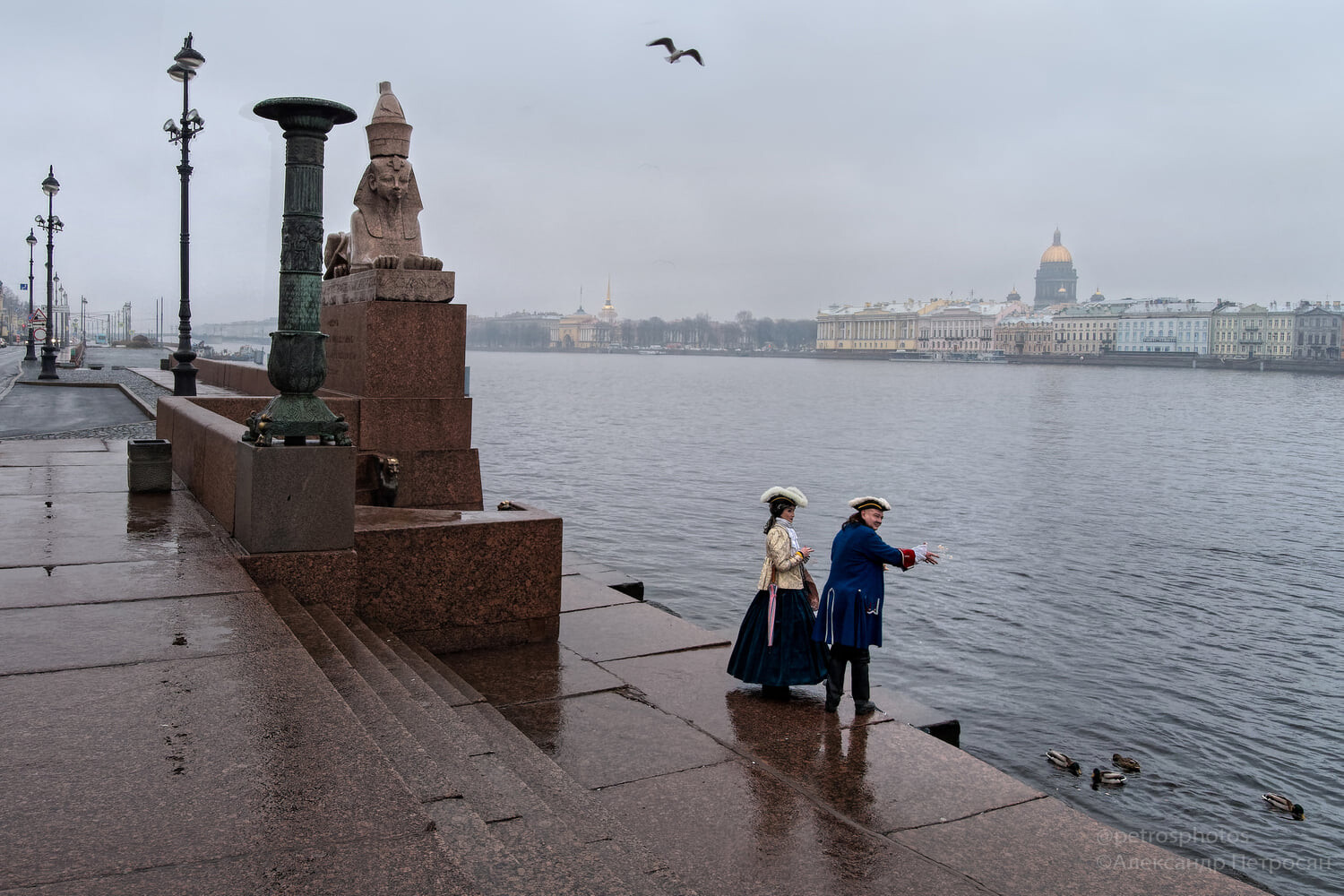 Типичный Питер. Отсель грозить я буду уткам. Фотограф Александр Петросян
