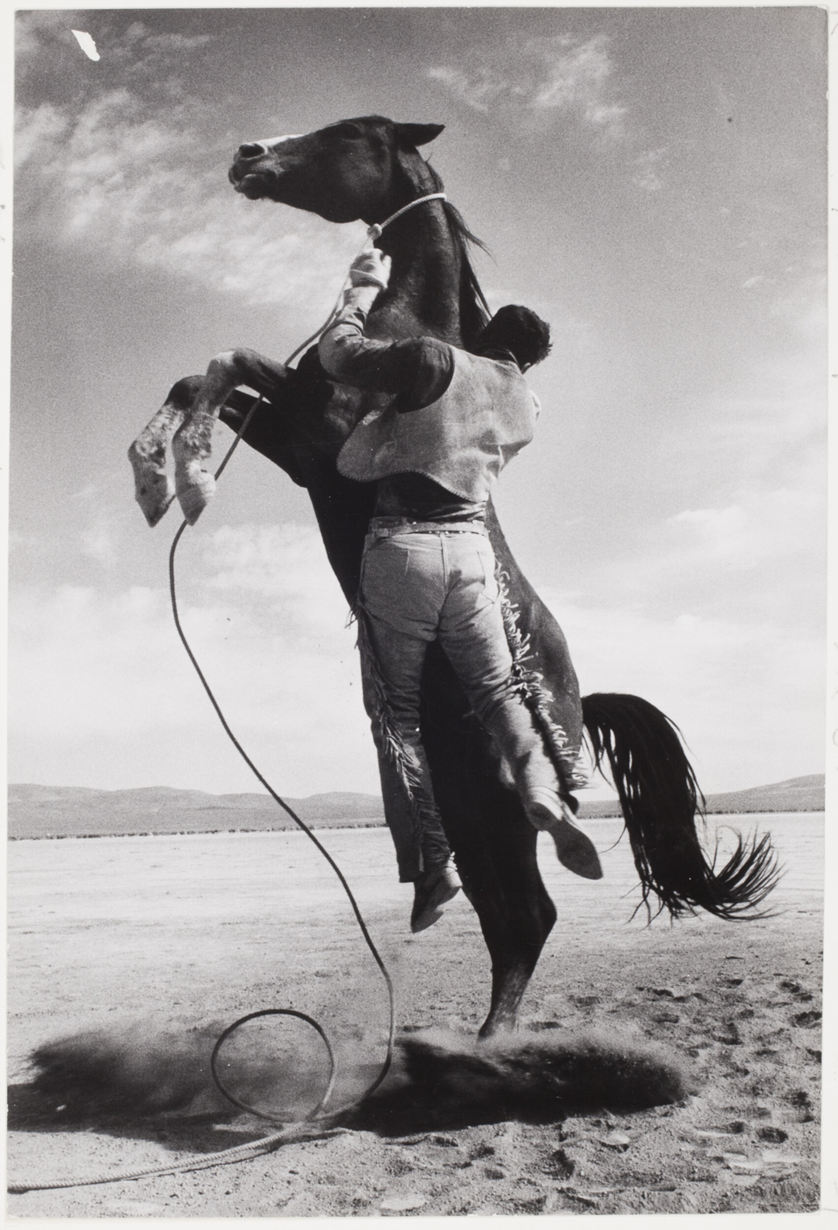 Каскадёр с мустангом на съёмочной площадке Неприкаянных, 1960. Фотограф Эрнст Хаас