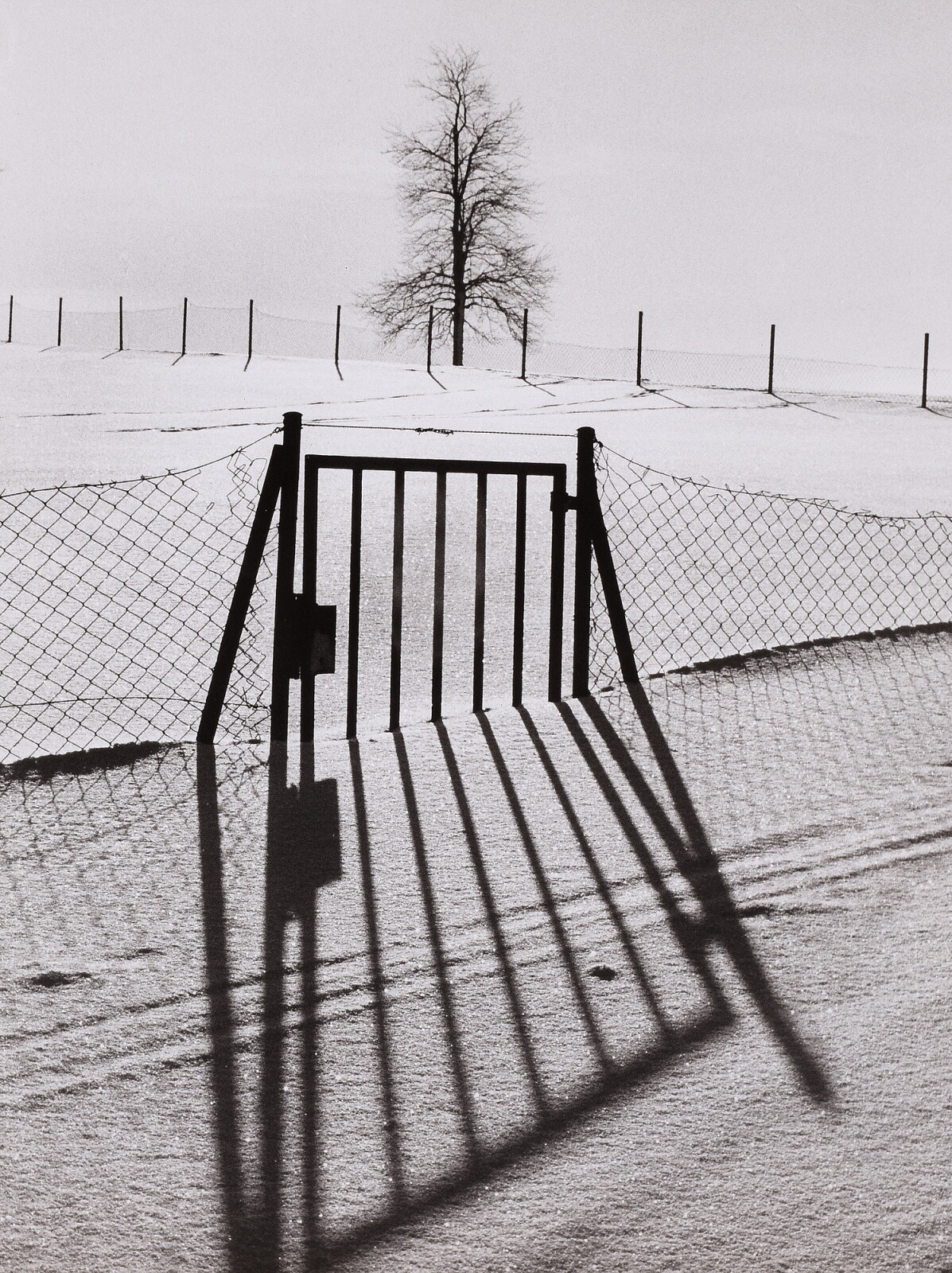 Зима. Фотограф Франтишек Досталь