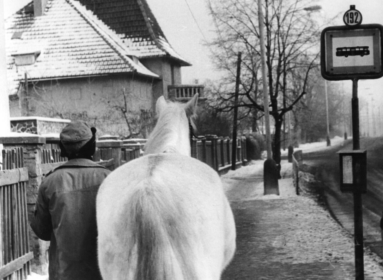 Остановка. Фотограф Франтишек Досталь