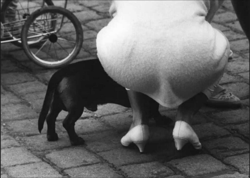 Фотограф Франтишек Досталь