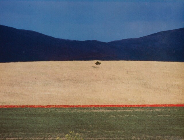 Пейзаж, 1990. Фотограф Франко Фонтана