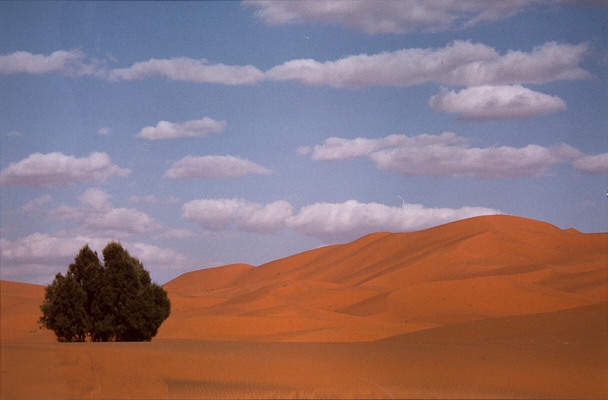 Пейзаж, 1994. Фотограф Франко Фонтана