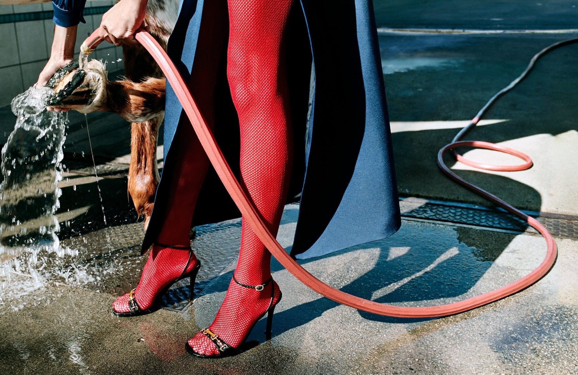 Gucci, рекламная кампания весна-лето 2020 года. Фотограф Йоргос Лантимос