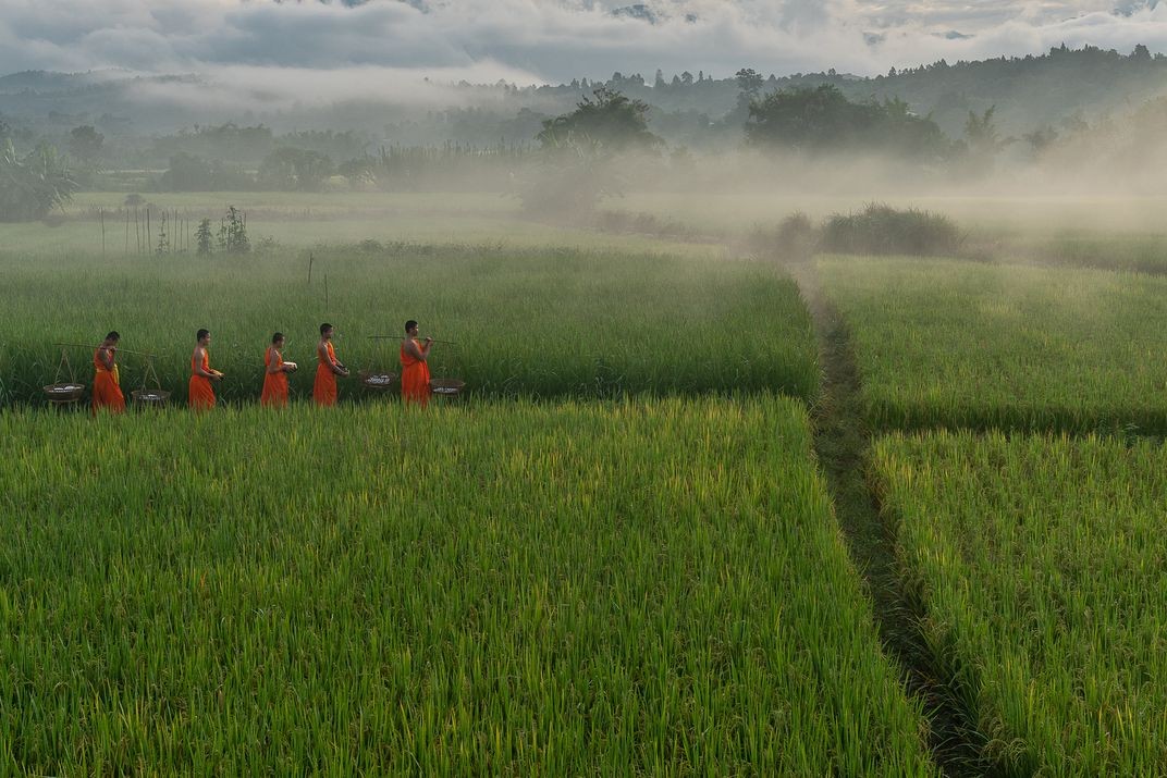 Финалист в категории Люди, 2020. Послушники возвращаются в храм через рисовое поле после сбора милостыни, Таиланд. Автор Сара Ваутерс
