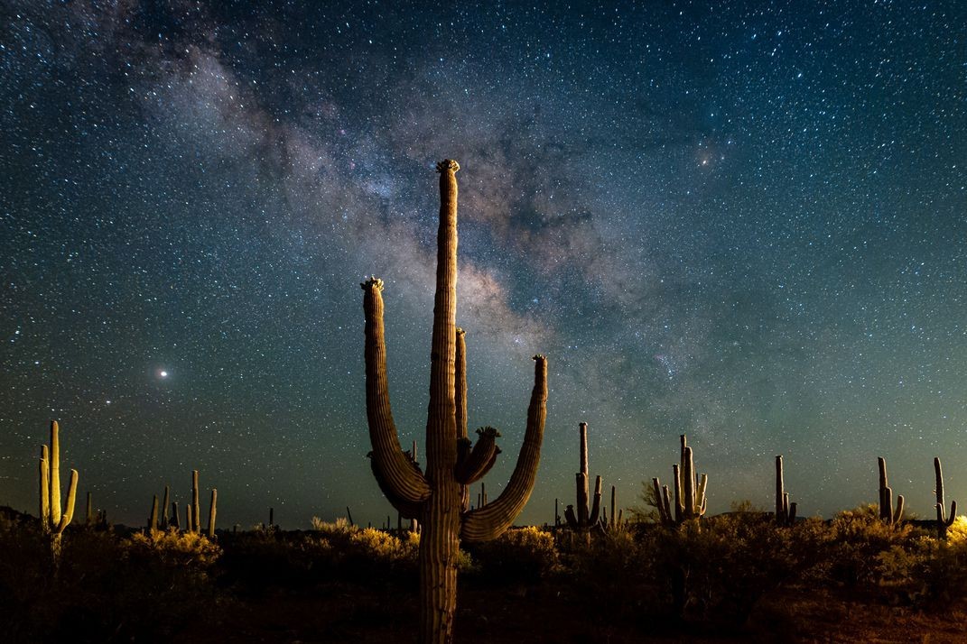 Победитель в категории Американский опыт, 2020. Млечный Путь над кактусами Сагуаро в пустыне  Сонора, штат Аризона. Автор Линси Шредер