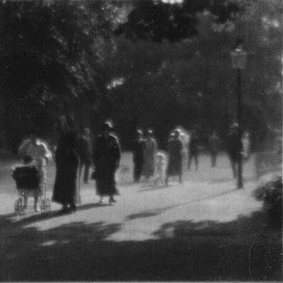 Из парка Стромовка, 1926 год. Фотограф Йозеф Судек