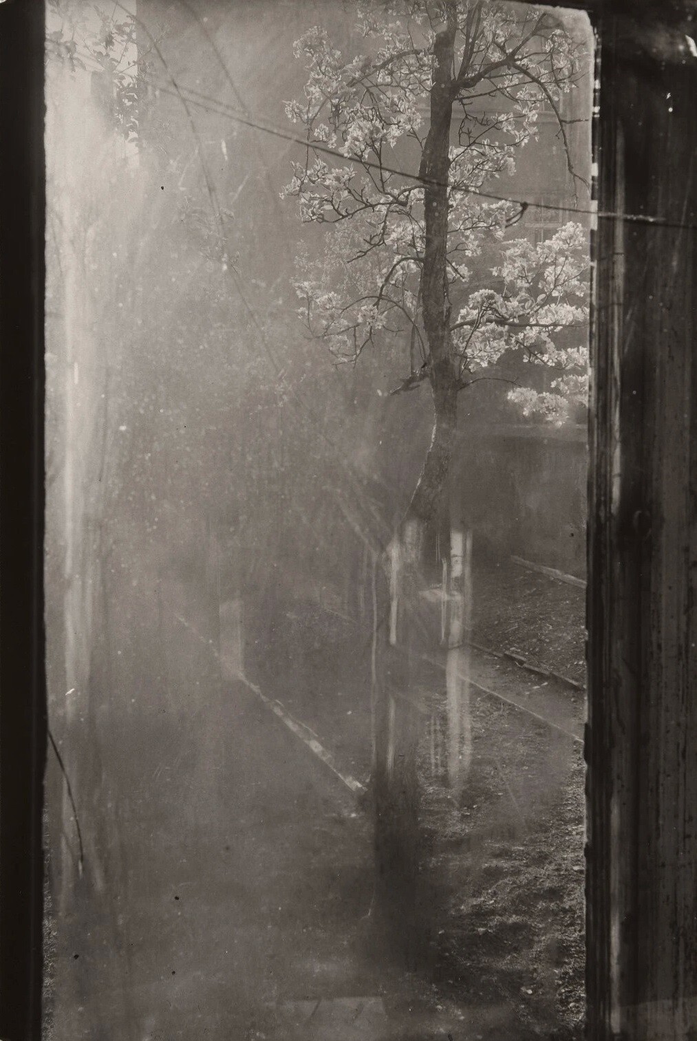 Вид из окна моей мастерской, 1972 год. Фотограф Йозеф Судек