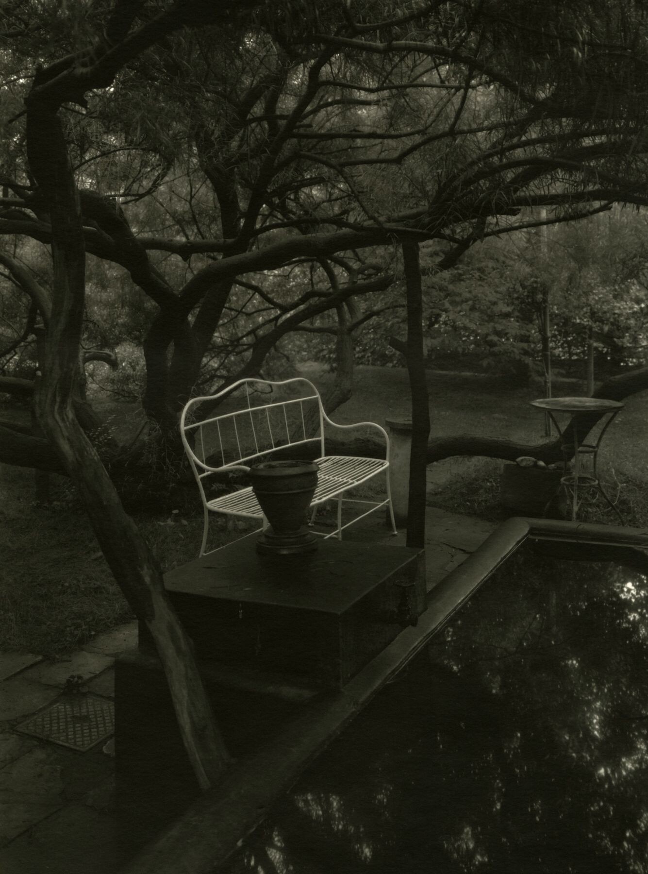 В волшебном саду, 1958 год. Фотограф Йозеф Судек