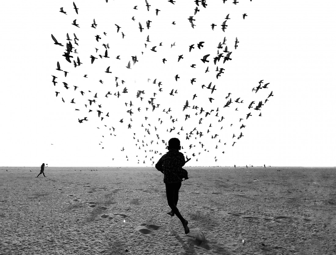 Мы бежим, а вы летите. 1-е место в категории Уличная фотография, 2020. Автор Димпи Бхалотия