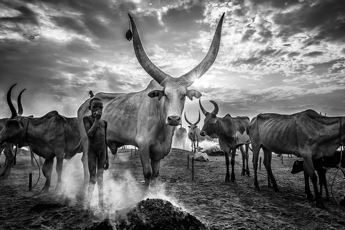 1-е место в категории «Путешествия», 2021. Юный заводчик крупного рогатого скота в Южном Судане. Автор Роберто Пацци
