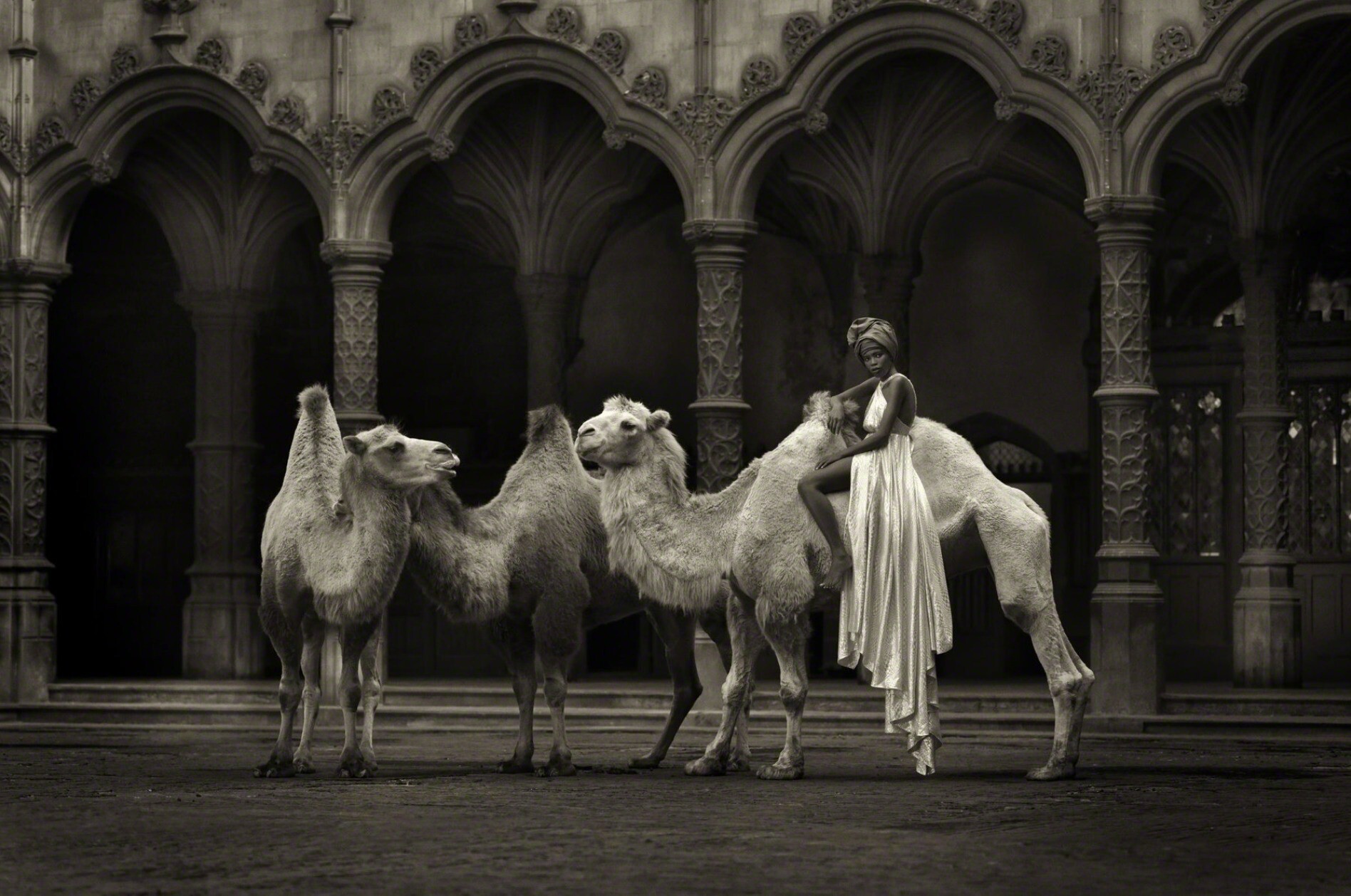 Верхом на верблюде, 2014. Фотограф Марк Лагранж