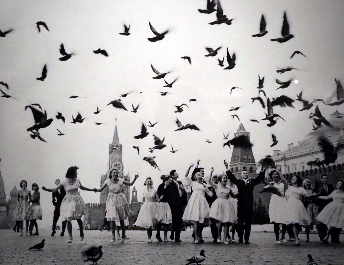 Голуби мира 1959. Фотограф Владимир Лагранж