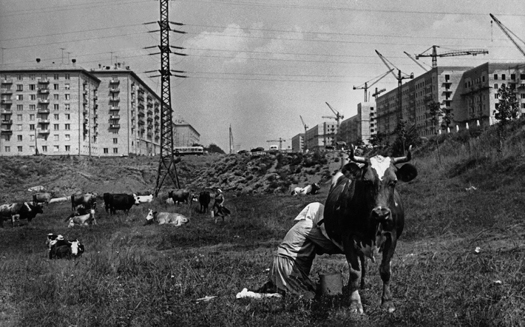 Город строится. Черёмушки, Москва, 1954. Фотограф Лев Бородулин