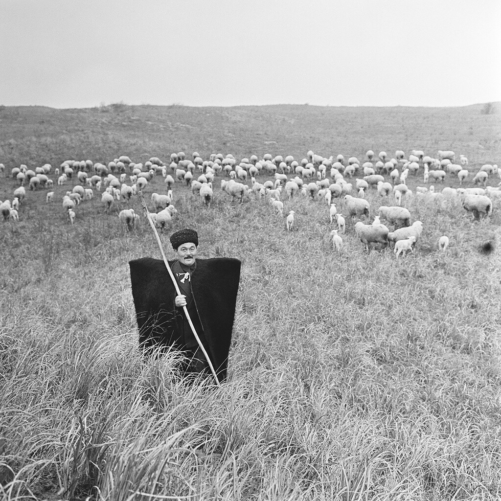 Пастух, 1960-е. Фотограф Юрий Абрамочкин