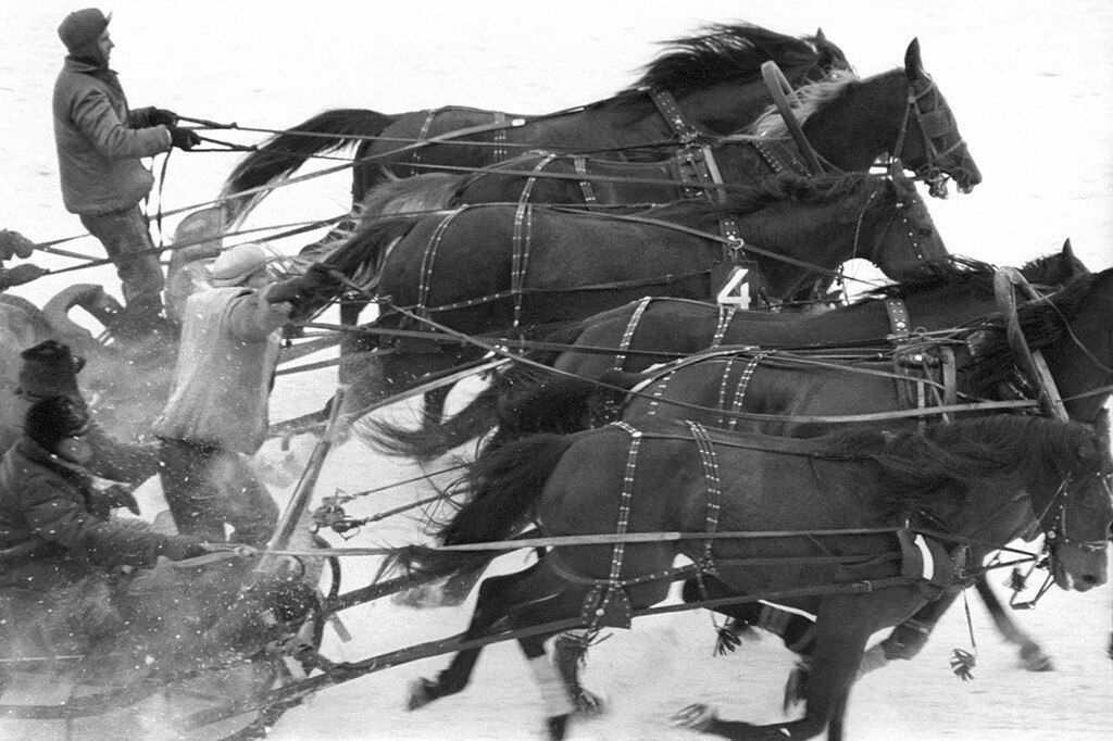 Упряжка лошадей, 1960. Фотограф Юрий Абрамочкин