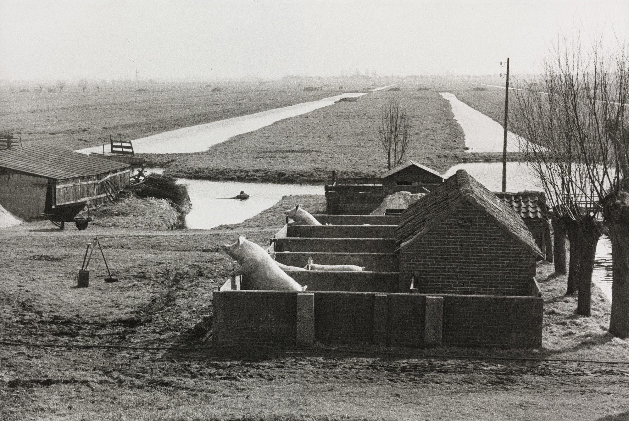 Нидерланды, 1956. Фотограф Анри Картье-Брессон