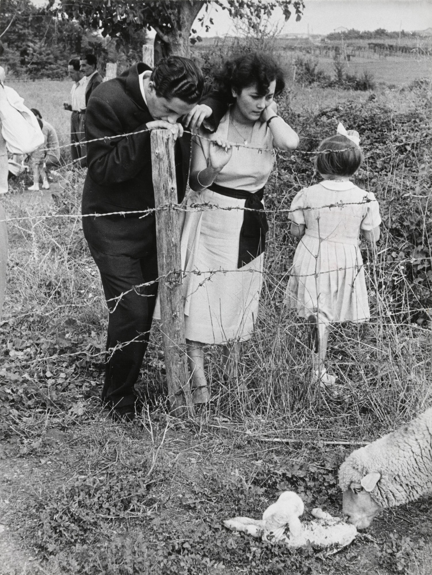 Альберто Росси и его невеста Россана Театини наблюдают за овечкой, ласкающей новорожденного ягнёнка, Италия, 1953. Фотограф Анри Картье-Брессон