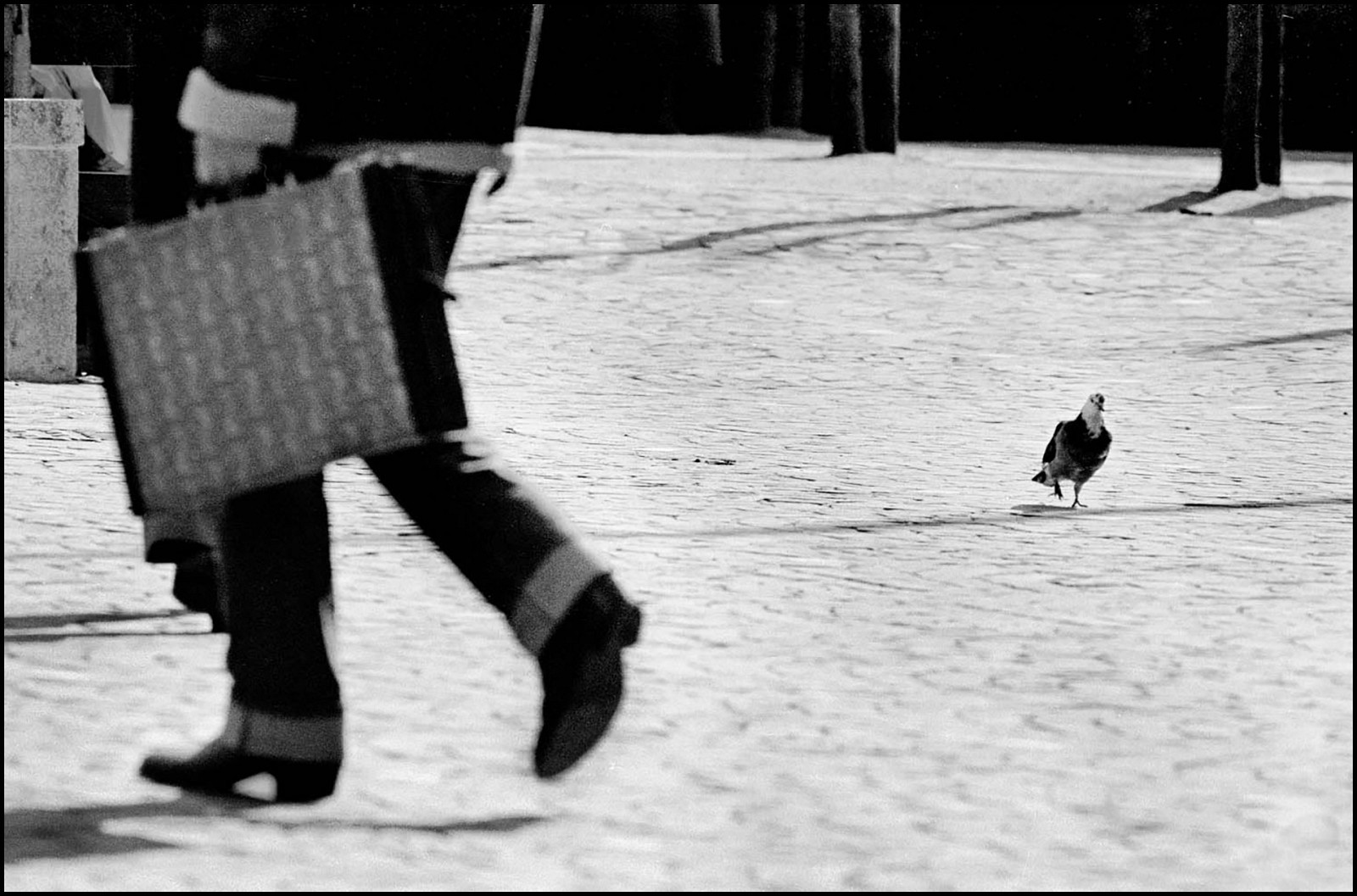 Шагаем в ногу, Брюссель, Бельгия, 1982. Джефф Уайденер