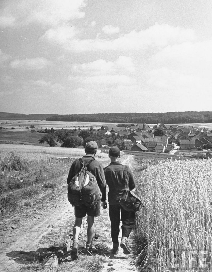 Два бывших солдата вермахта в поисках работы на полях в немецкой провинции, 1946. Уолтер Сандерс