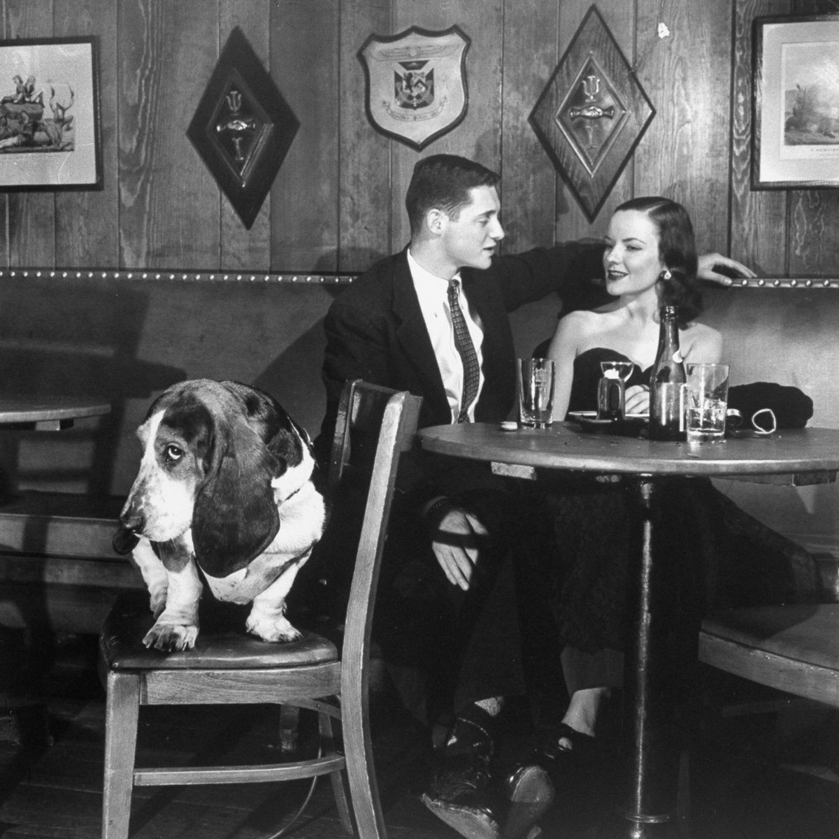 Пёс Морган, 1950. Уолтер Сандерс