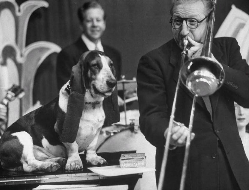 Собака на телевидении слушает тромбониста Майка Райли, 1950. Уолтер Сандерс