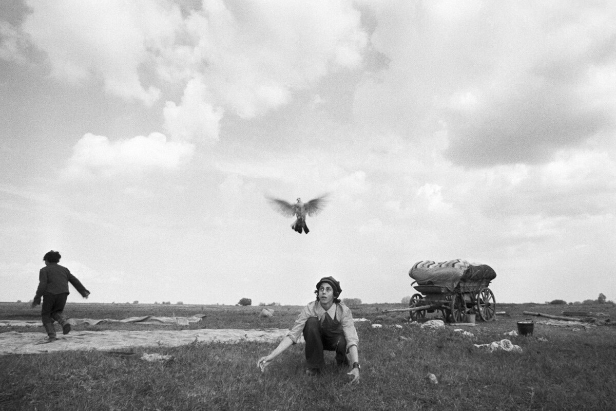 Мальчик с голубем, Уральск, 1979 год. Фотограф Ляля Кузнецова