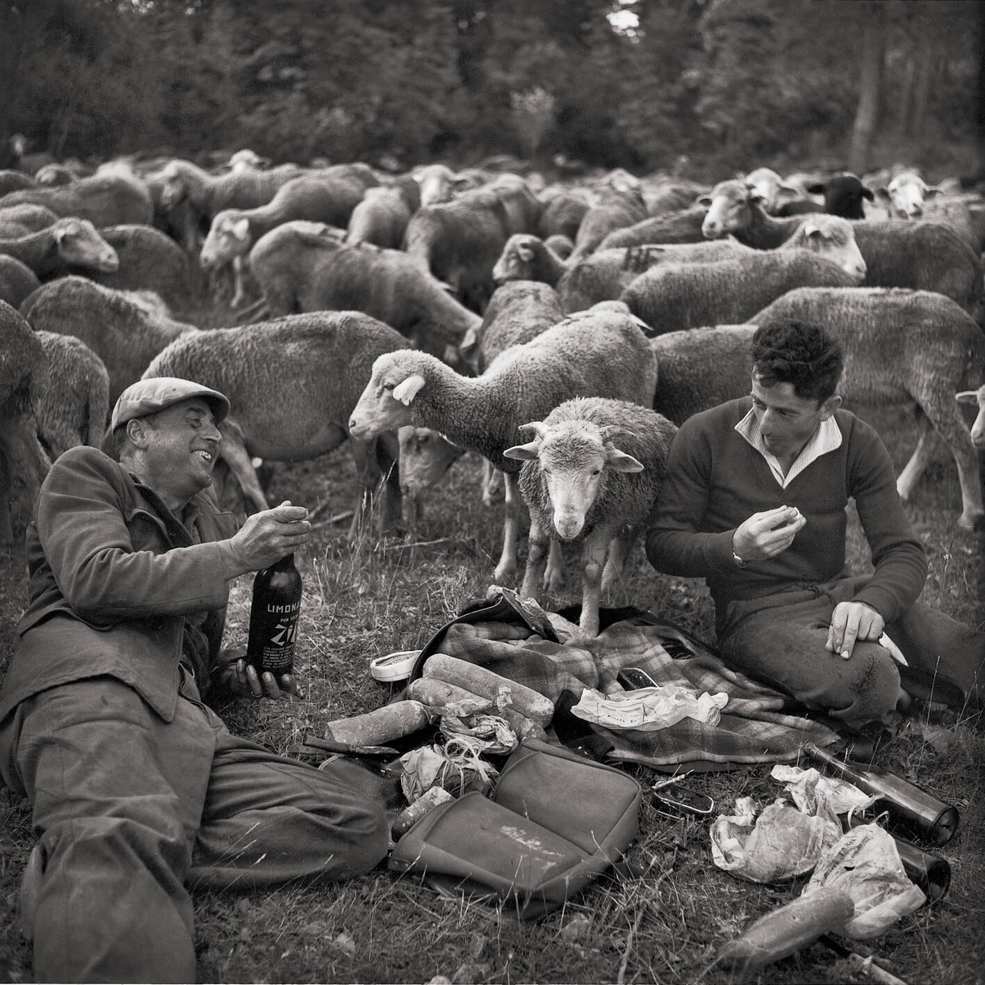 Пикник пастухов, 1950-е. Фотограф Робер Дуано
