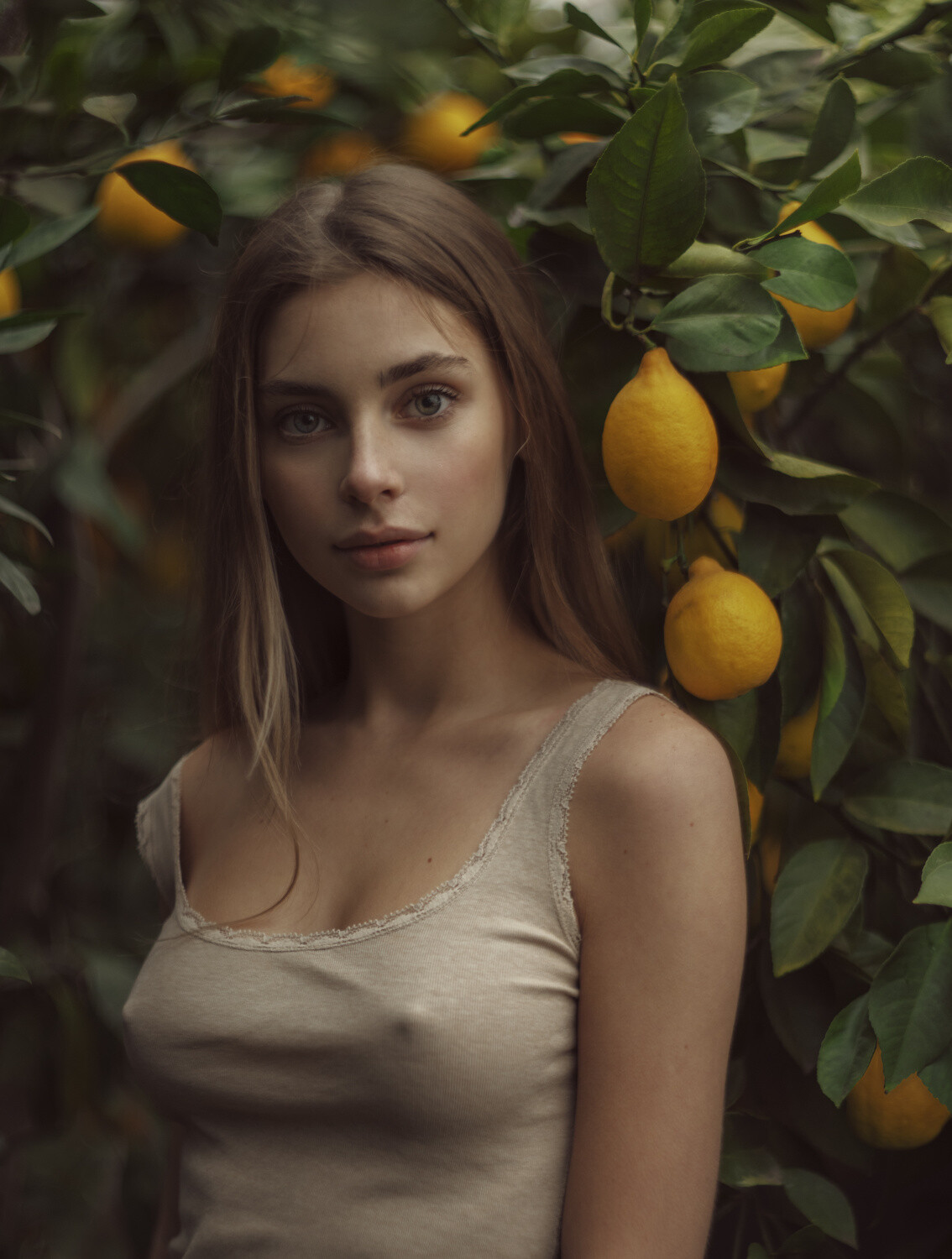 Лимоны. Фотограф Давид Дубницкий