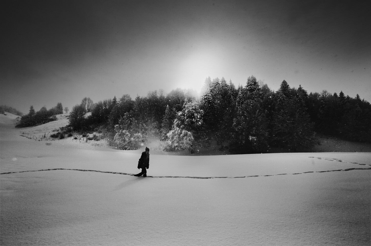 Снег. Фотограф Сирил Дрюар