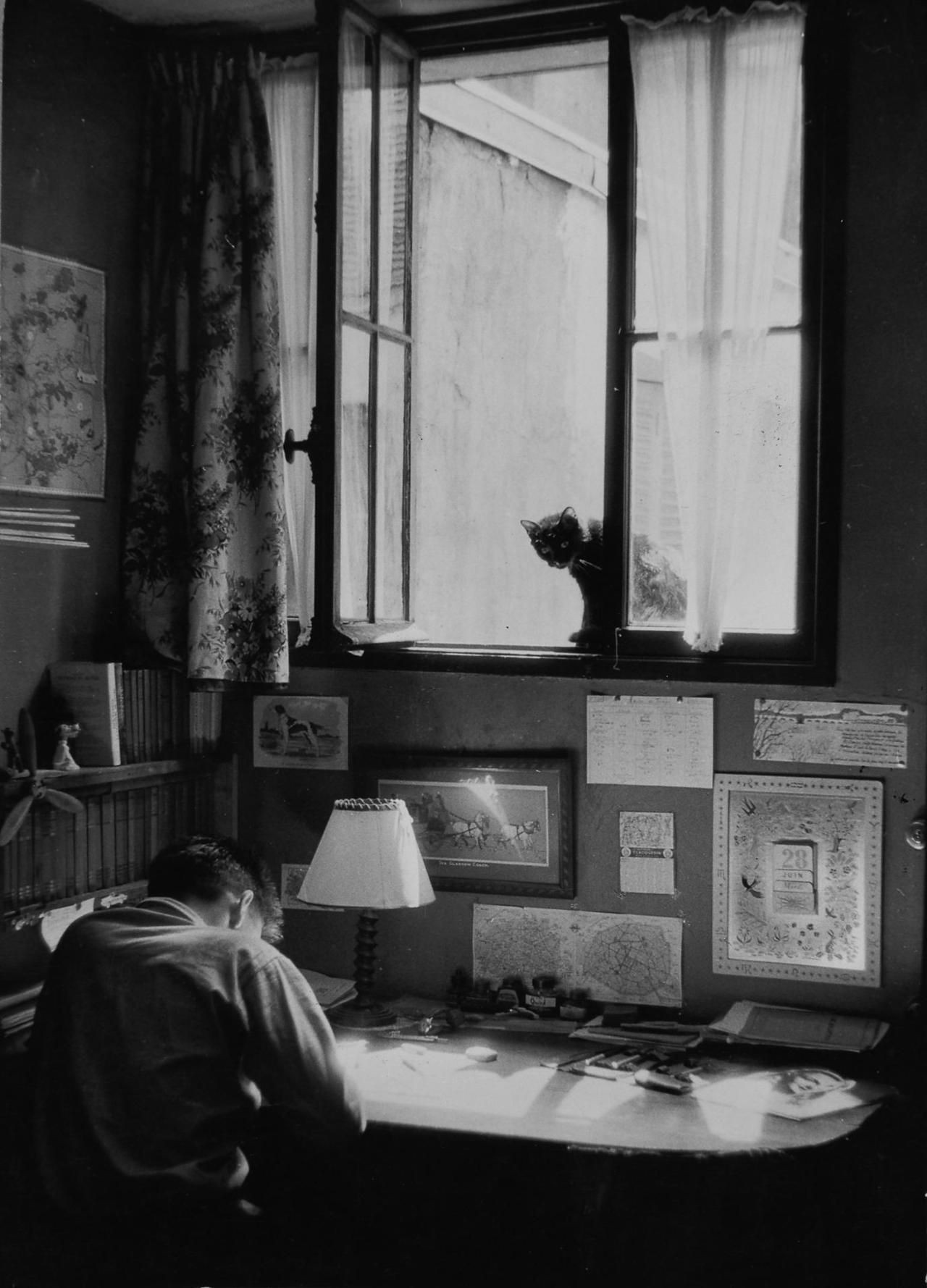 Винсент и кот, 1955. Фотограф Вилли Рони