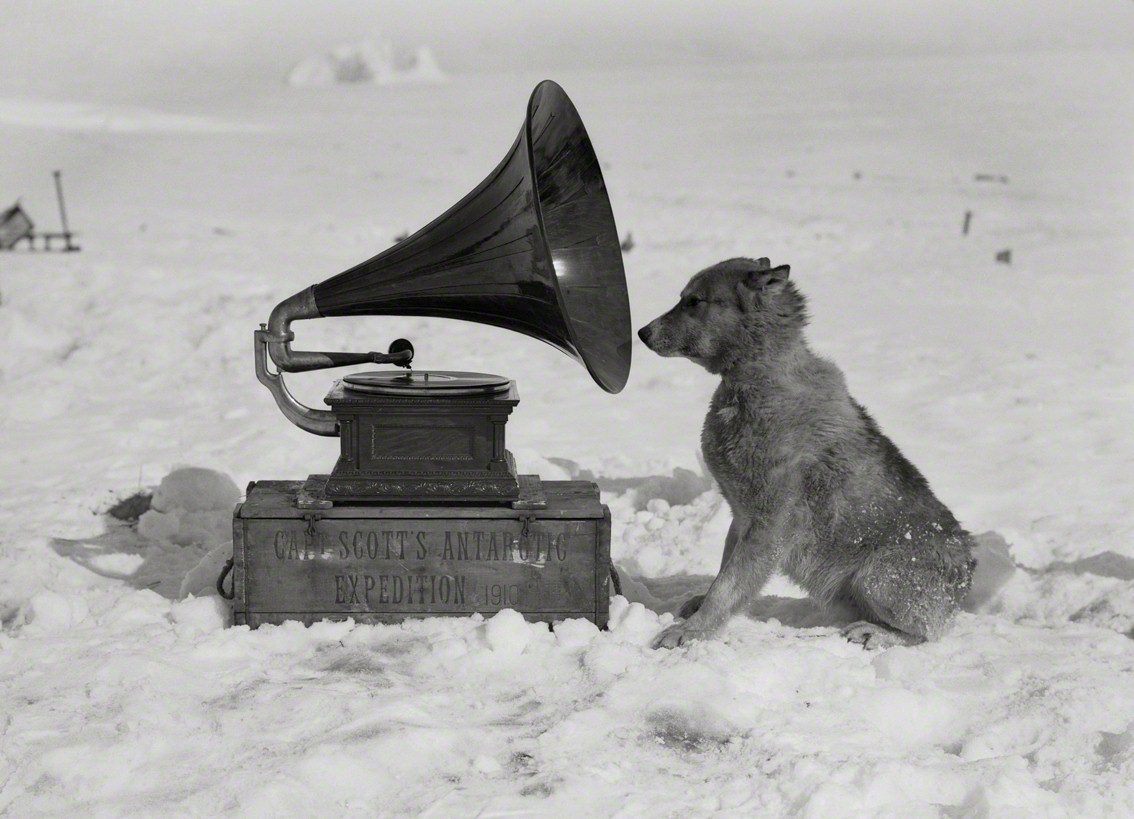 Крис и граммофон, 1910. Фотограф Герберт Понтинг