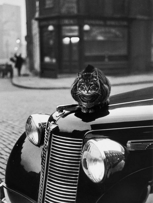 «Сохранение тепла». Ислингтон, Лондон, 1950. Фотограф Терстон Хопкинс