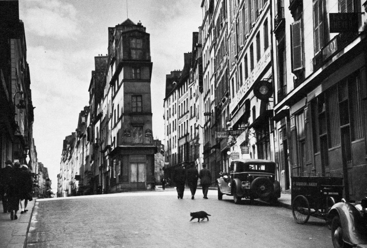 Уличный кот, 1927 год. Фотограф Андре Кертеc