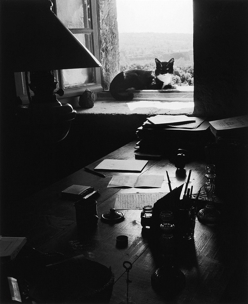Кот писателя, Горд, Франция, 1954. Фотограф Вилли Рони