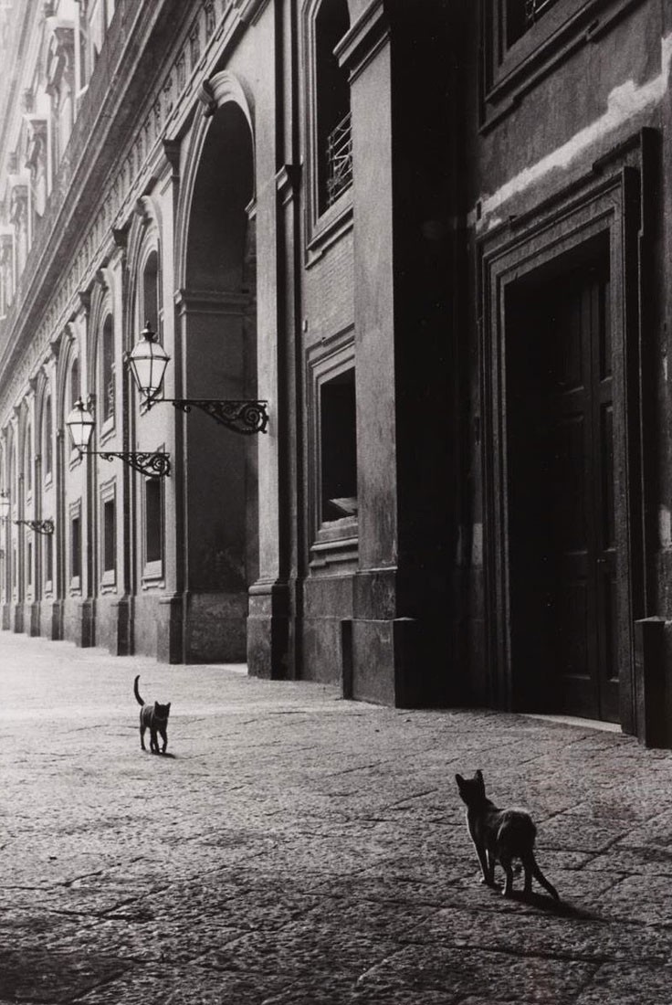 «Встреча на улице». Неаполь, 1958. Фотограф Леонард Фрид