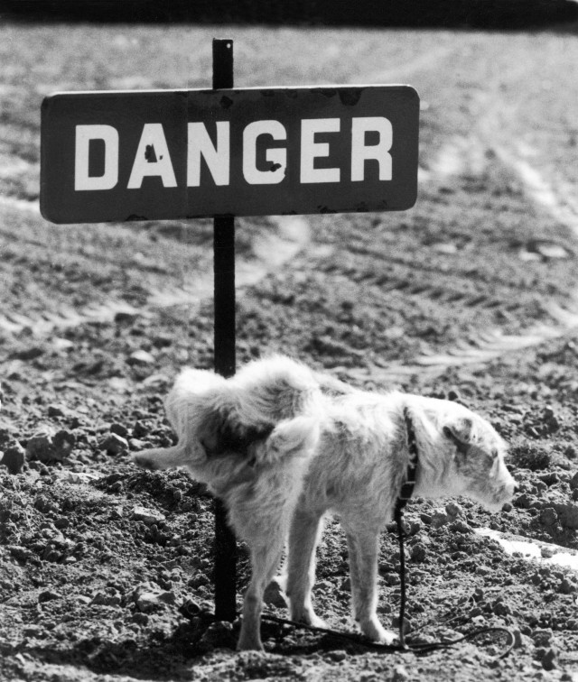 «Опасно». Фотограф Рене Мальтет