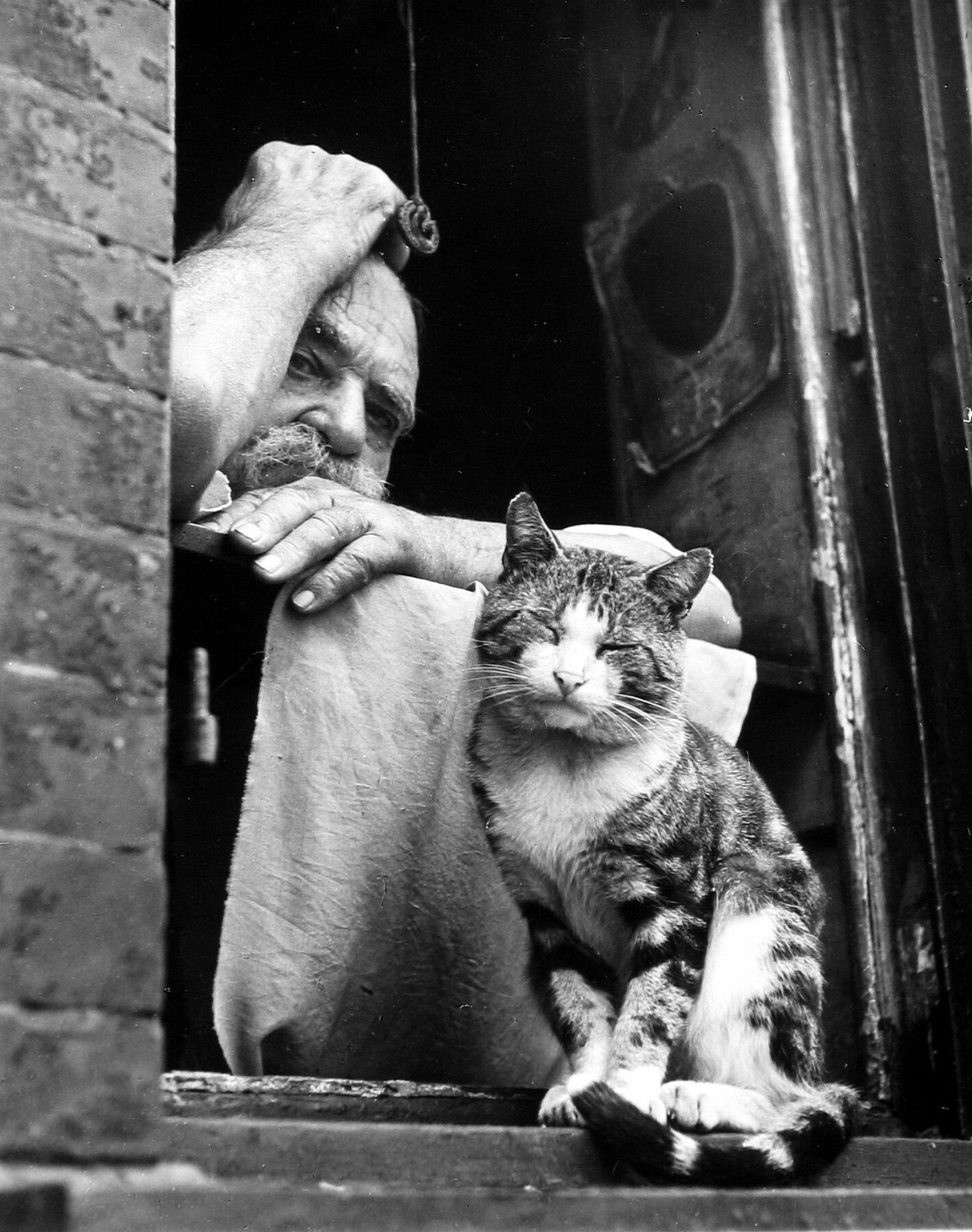 Кот с другом, 1954. Фотограф Леон Левинстайн