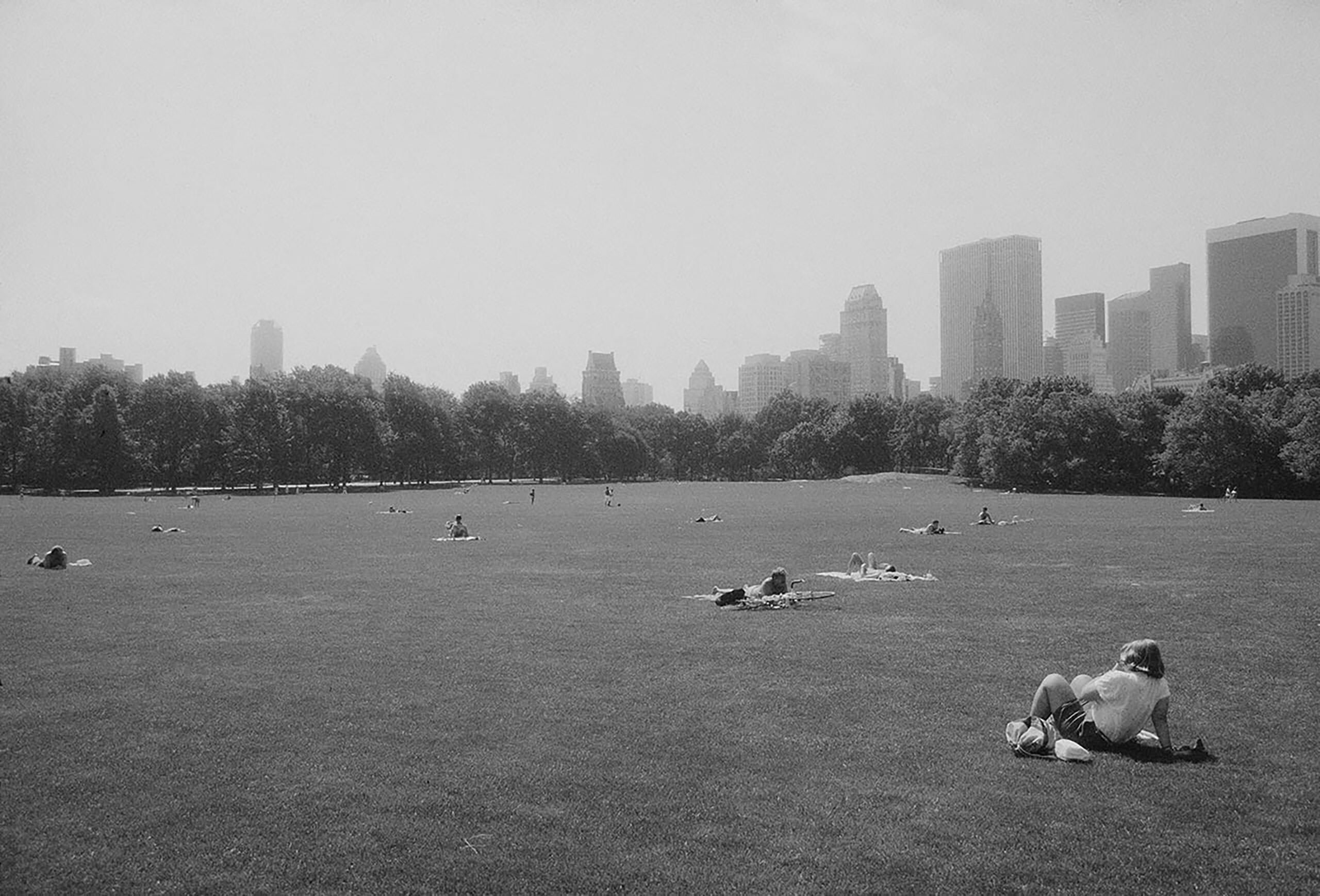 Центральный парк, Нью-Йорк. Фотограф Роберт Фарбер