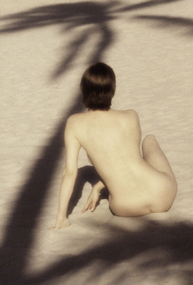 Женщина под пальмой. Фотограф Роберт Фарбер